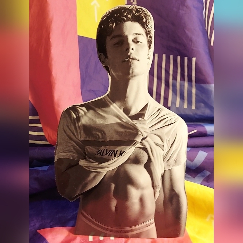 Shawn Mendes Cutout Standee